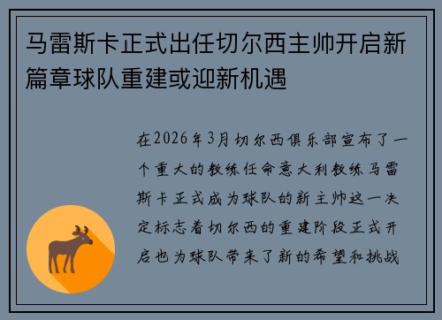 马雷斯卡正式出任切尔西主帅开启新篇章球队重建或迎新机遇